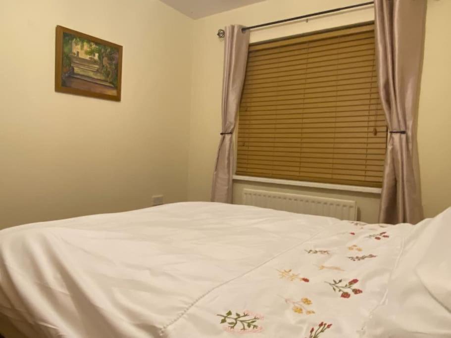 Walnut Apartment Larne Ngoại thất bức ảnh
